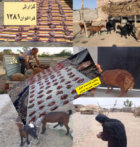 گزارش فراخوان 1281