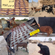 گزارش فراخوان 1281