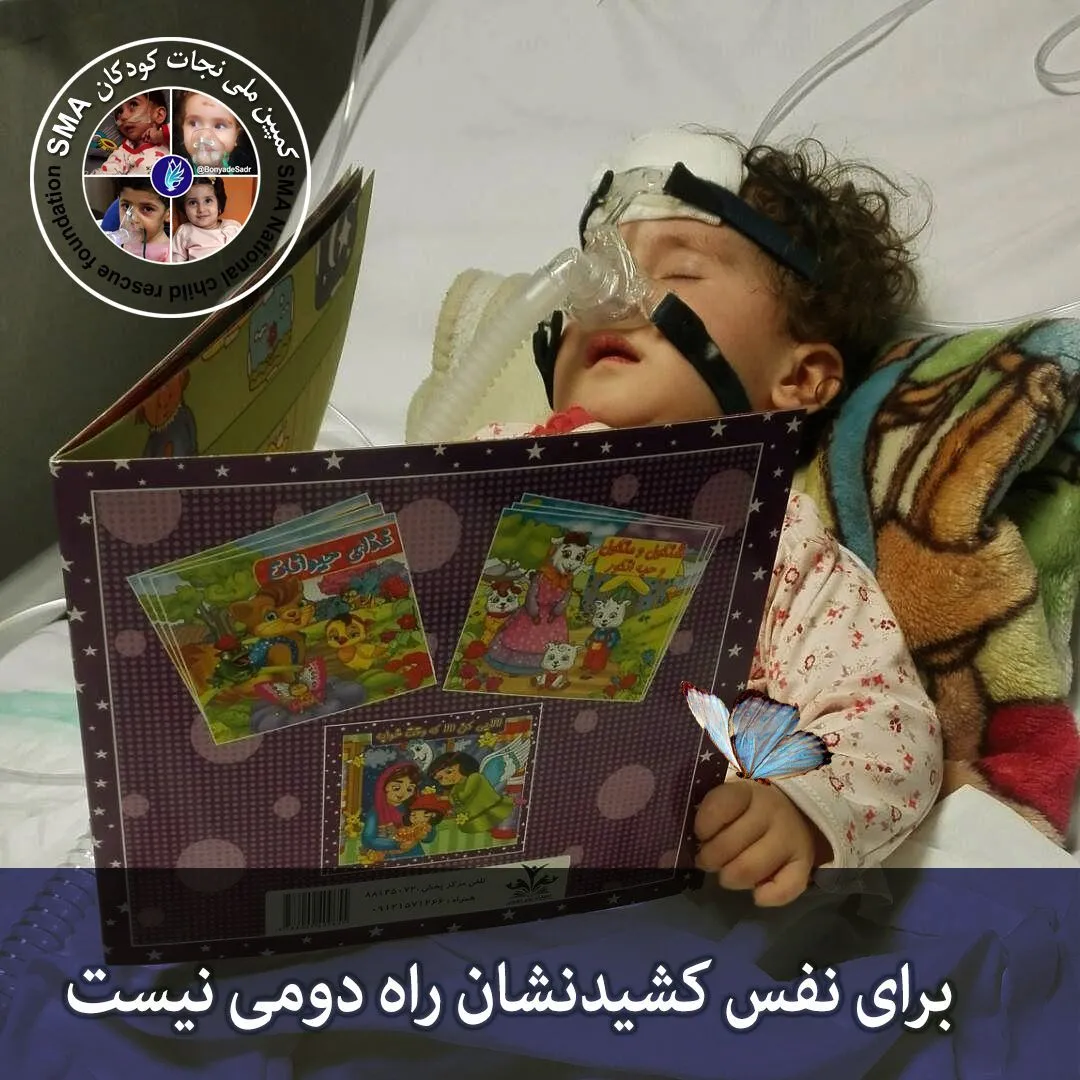 نورسا و داستان همانند