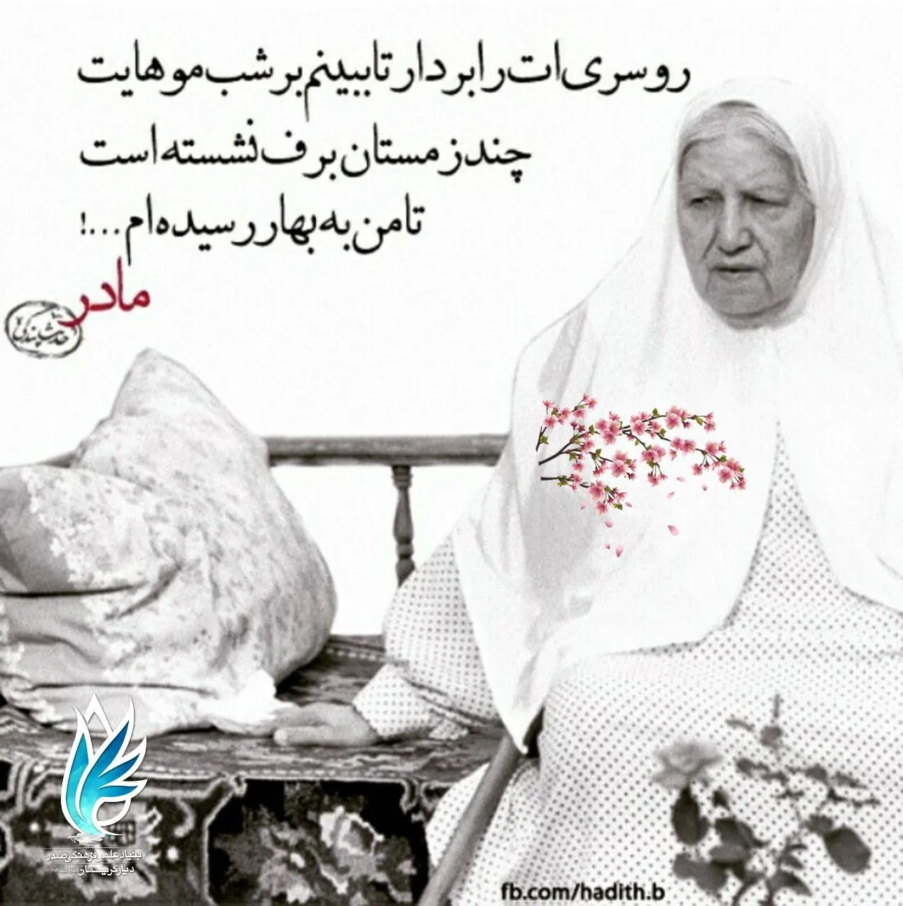 فراخوان ۷۴۴: مدرسه مادر
