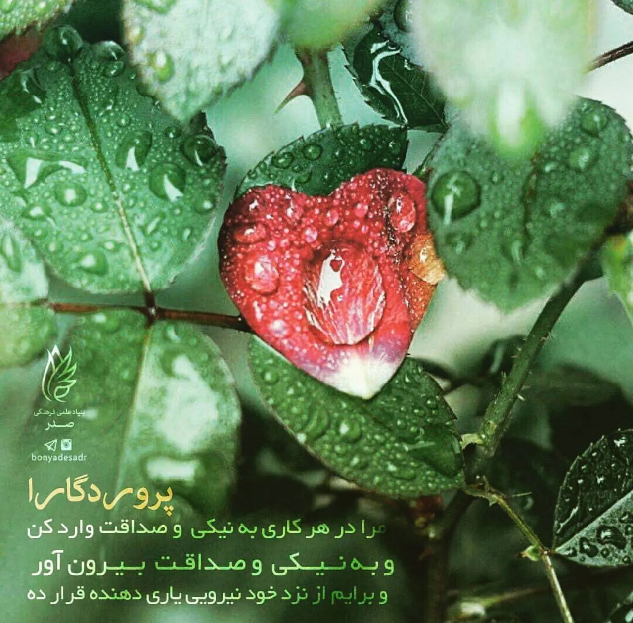 اخبار صندوق قرض‌الحسنه قدر